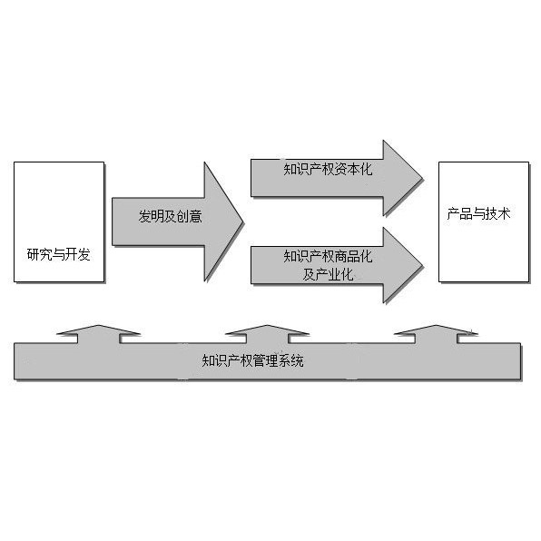 知识产权